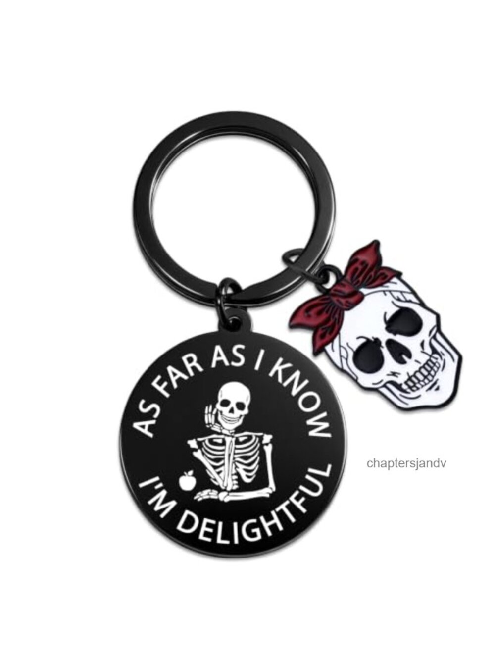Stainless Steel Skull Keychain Bag Charm Funny Goth Halloween Gift